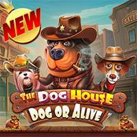 The Dog House Dog or Alive slots